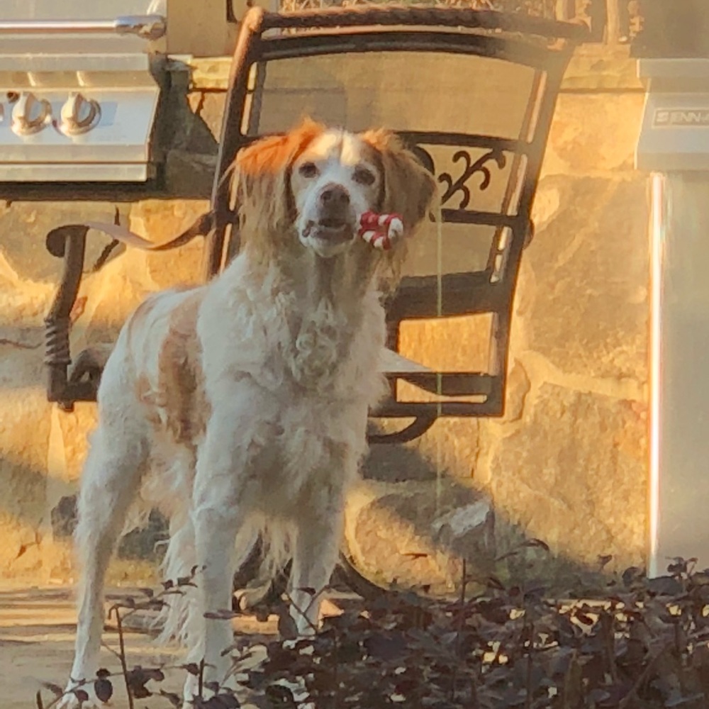 Meet your Posher, Robin